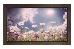 Papatya Çiçekleri Gökyüzü Tablosu Kahverengi Ahşap - 70x100