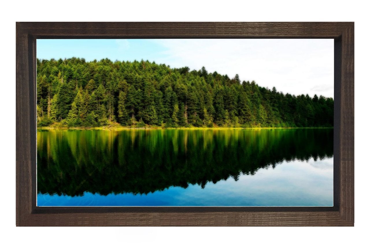 Göl Kenarı Ormanı Tablosu Kahverengi Ahşap - 100x200