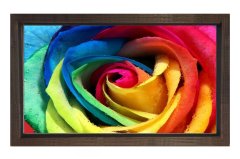 Renkli Gül Çiçeği Tablosu Kahverengi Ahşap Çerçeve - 100x200