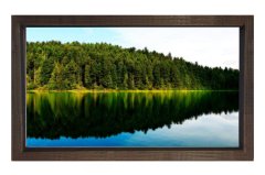 Göl Kenarı Ormanı Tablosu Kahverengi Ahşap - 40x60