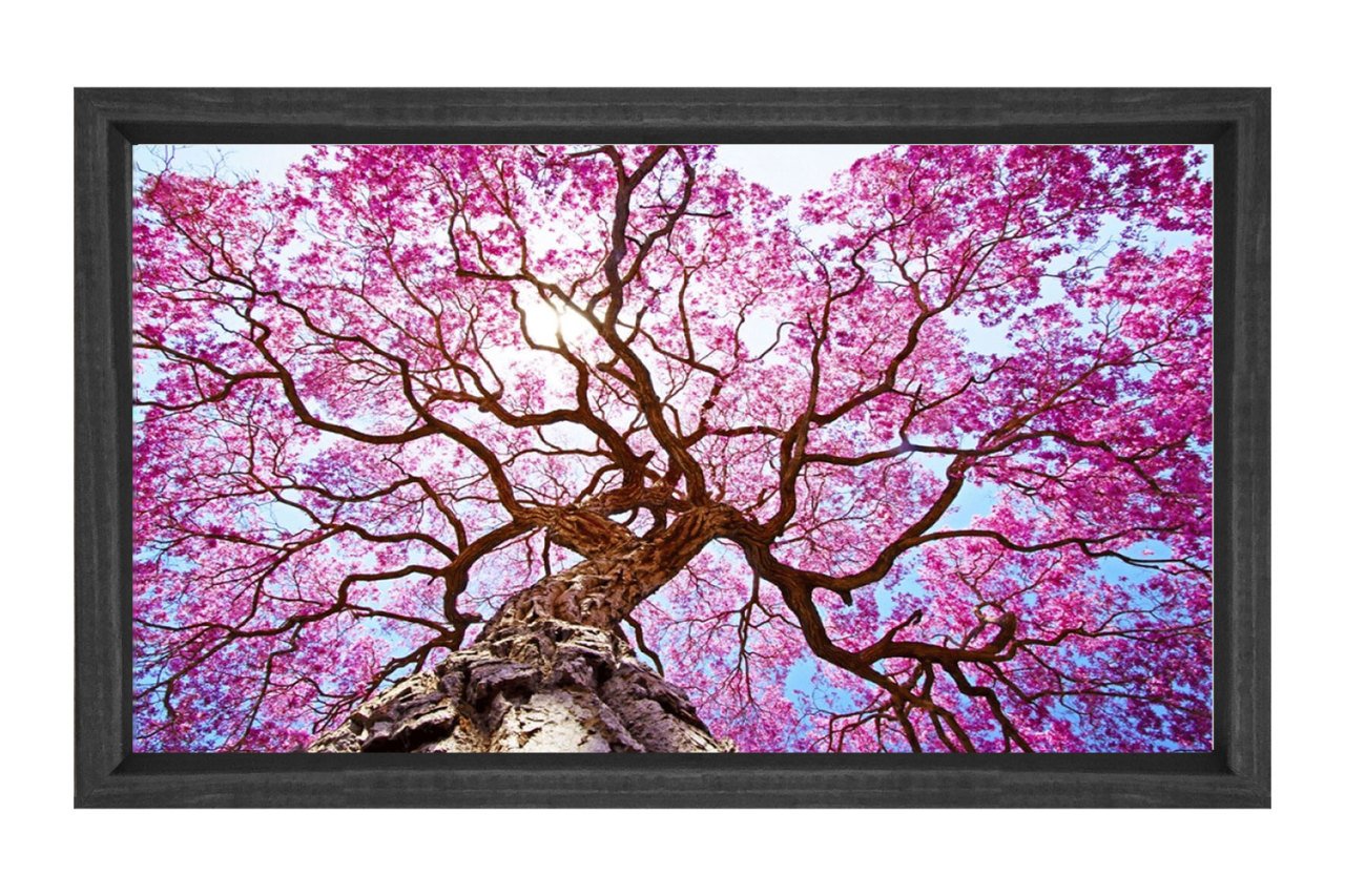 Mor Pembe Ağac Tablosu Siyah Ahşap Çerçeve - 45x30