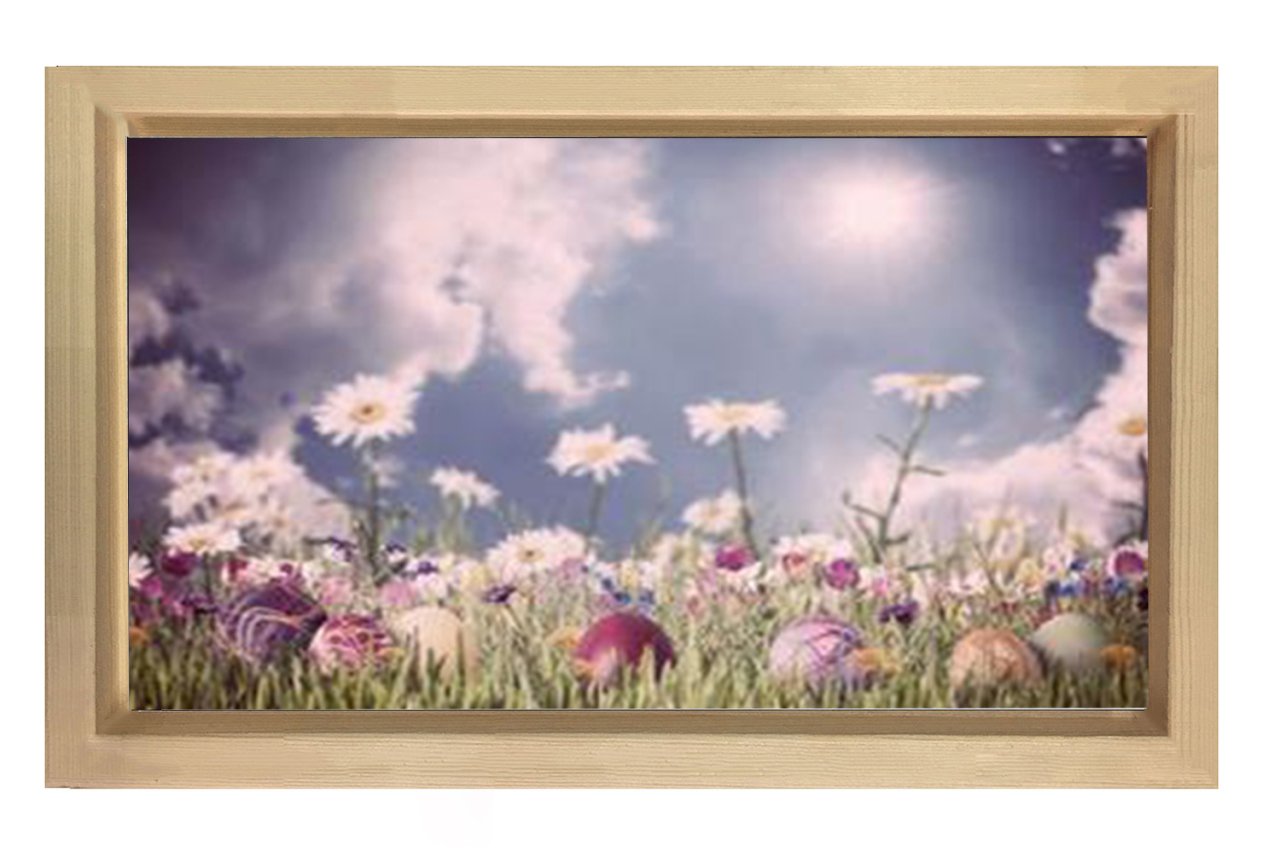 Papatya Çiçekleri Gökyüzü Tablosu Naturel Ahşap - 45x30