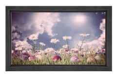 Papatya Çiçekleri Gökyüzü Tablosu Siyah Ahşap - 100x150
