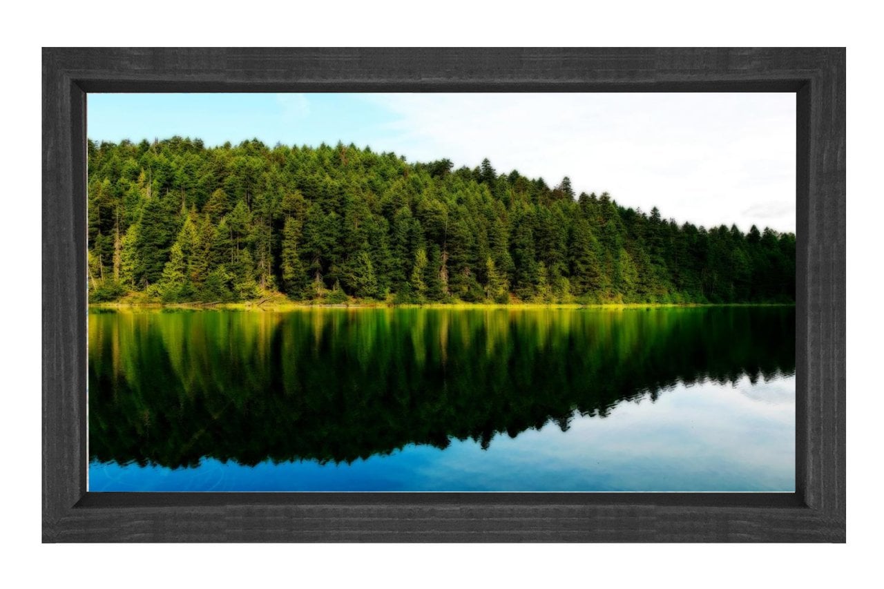 Göl Kenarı Ormanı Tablosu Siyah Ahşap - 40x60