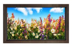 Papatyalar Çiçek Manzara Tablosu Kahverengi Ahşap - 40x60