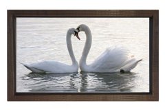 Kuğular Tablosu Kahverengi Ahşap Çerçeve - 50x90