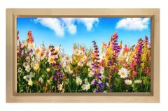 Papatyalar Çiçek Manzara Tablosu Naturel Ahşap - 40x60
