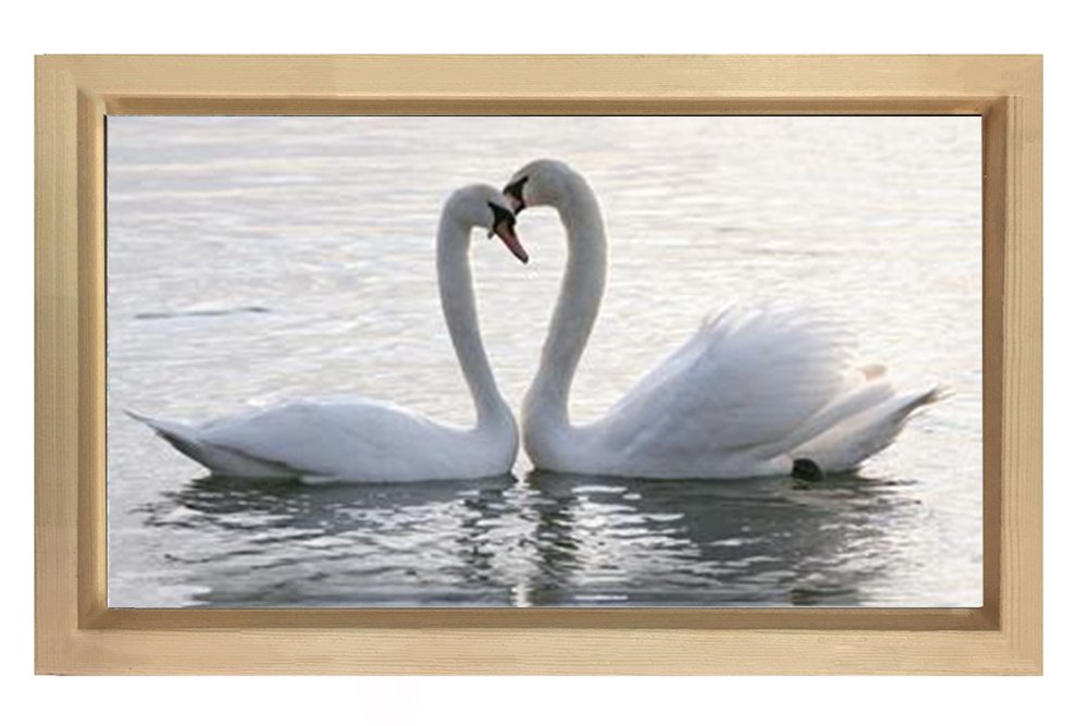 Kuğular Tablosu Naturel Ahşap Çerçeve - 70x100