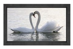 Kuğular Tablosu Siyah Ahşap Çerçeve - 100x200