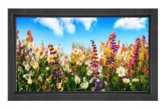 Papatyalar Çiçek Manzara Tablosu Siyah Ahşap - 40x60