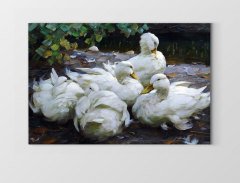 Ördekler Tablosu Çerçevesiz - 50x90