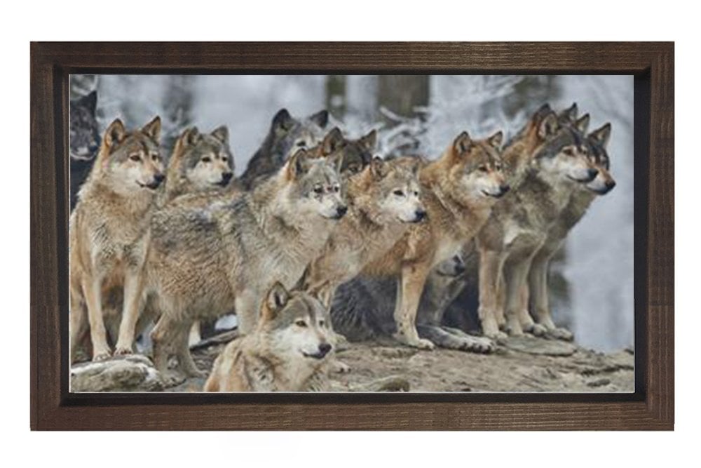 Kurt Köpekleri Tablosu Kahverengi Ahşap - 50x90