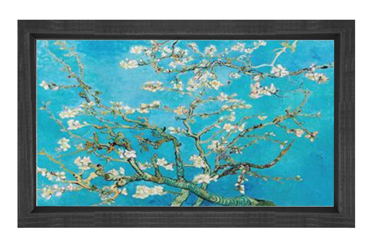 Çiçekli Badem Ağacı Tablosu Siyah Ahşap Çerçeve - 40x60