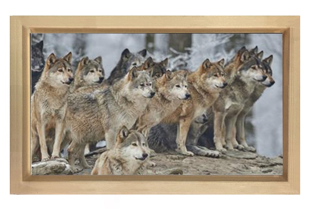 Kurt Köpekleri Tablosu Naturel Ahşap - 100x200
