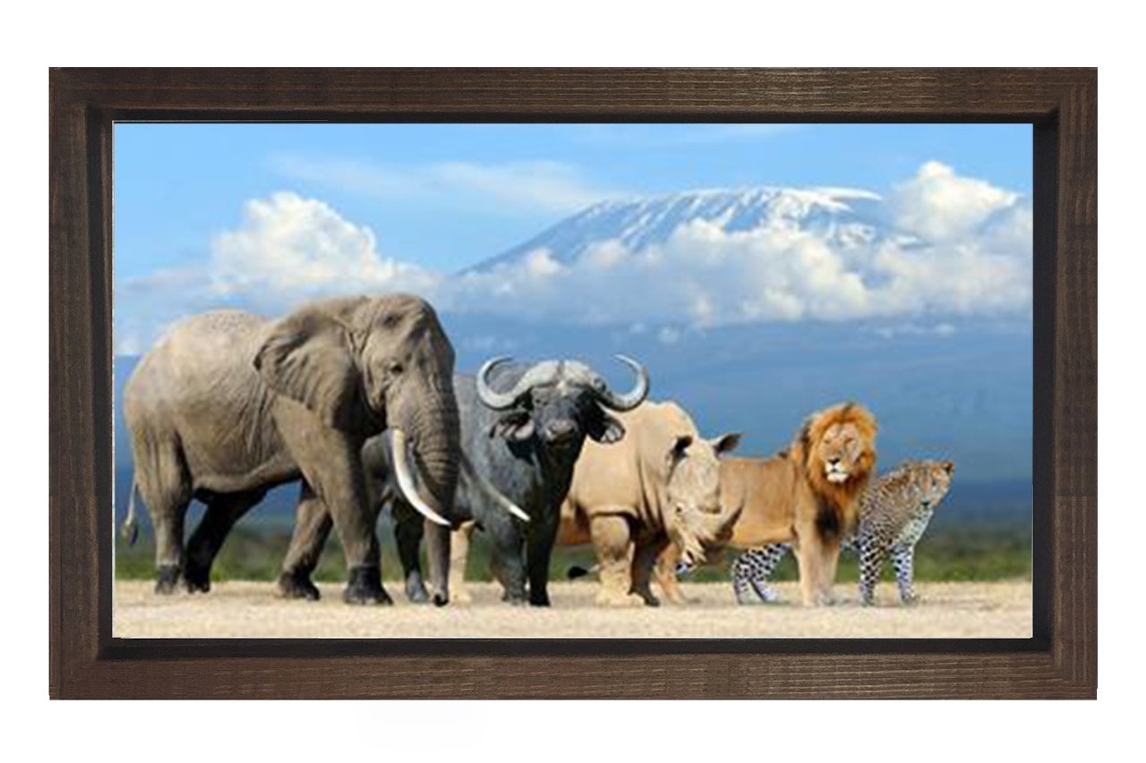 Vahşi Hayvanlar  Tablosu Kahverengi Ahşap Çerçeve - 50x70