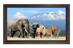 Vahşi Hayvanlar  Tablosu Kahverengi Ahşap Çerçeve - 50x70