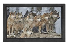 Kurt Köpekleri Tablosu Siyah Ahşap - 100x200