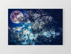 Muhtesem Gece Tablosu Çerçevesiz - 40x60