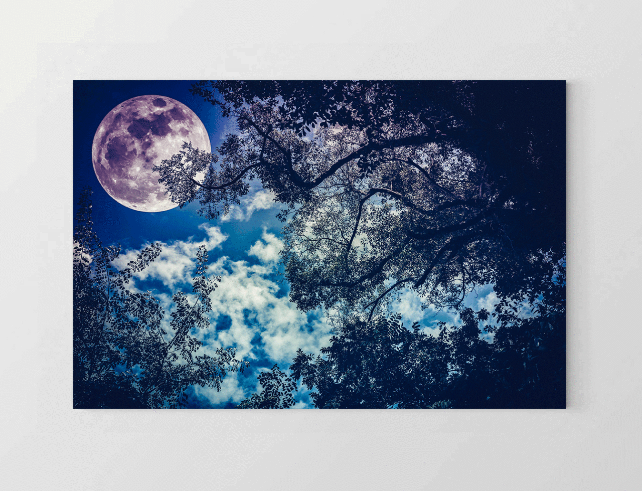 Muhtesem Gece Tablosu Çerçevesiz - 50x90
