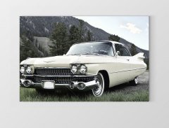 Classic Car In Nature Tablosu Çerçevesiz - 50x70
