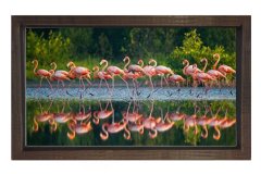 Flamingolar Tablosu Kahverengi Ahşap - 45x30