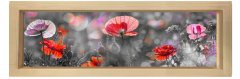 Gelincikler Tablosu Naturel Ahşap Çerçeve - 150x50