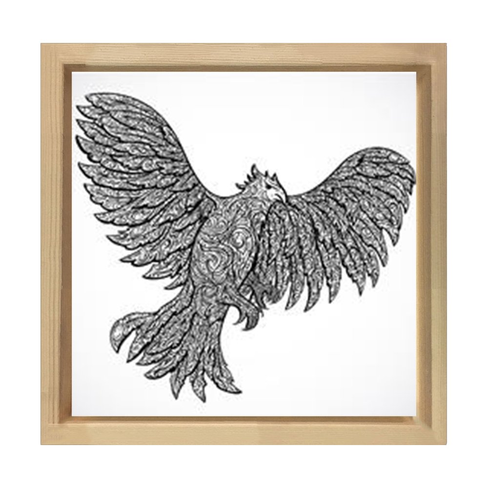 Kartal Boyama Tablo Tablosu Naturel Ahşap Çerçeve - 100x100