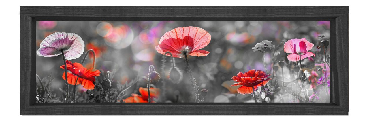 Gelincikler Tablosu Siyah Ahşap Çerçeve - 120x40