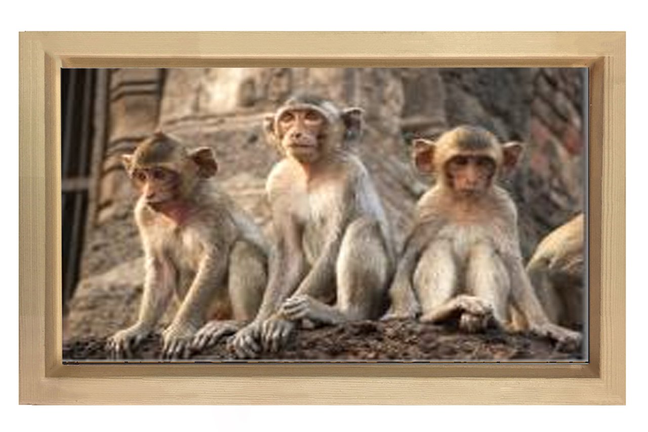 Üç Maymun Tablosu Naturel Ahşap - 45x30