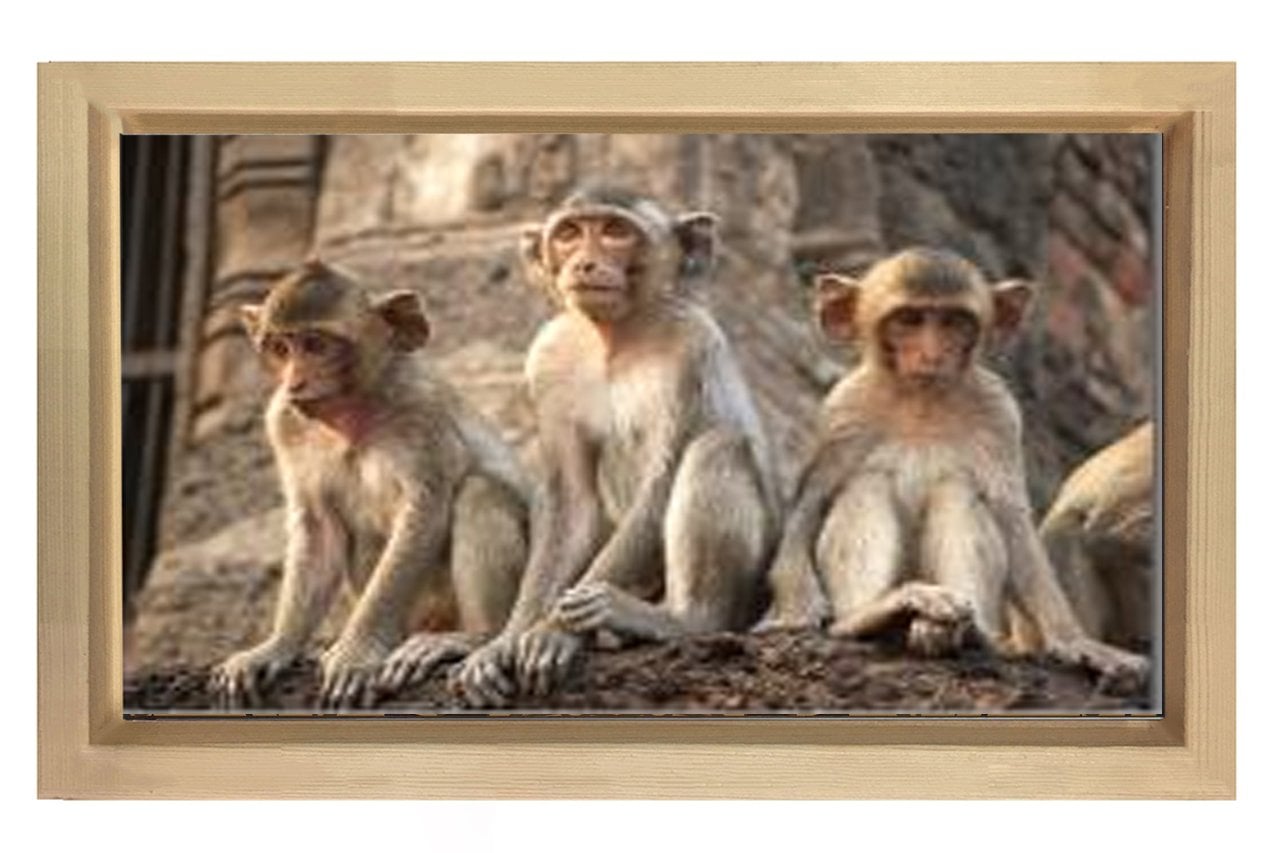 Üç Maymun Tablosu Naturel Ahşap - 50x70