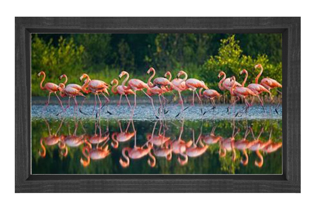 Flamingolar Tablosu Siyah Ahşap - 100x200