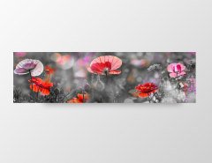Gelincikler Tablosu Çerçevesiz - 90x30
