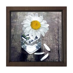 Papatya Tablosu Kahverengi Ahşap Çerçeve - 90x90