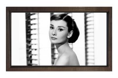 Audrey Hepburn Tablosu
