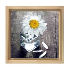 Papatya Tablosu Naturel Ahşap Çerçeve - 60x60