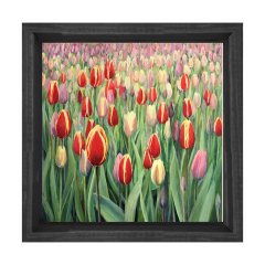 Gül Bahçesi Çiçekleri Tablosu Siyah Ahşap Çerçeve - 30x30