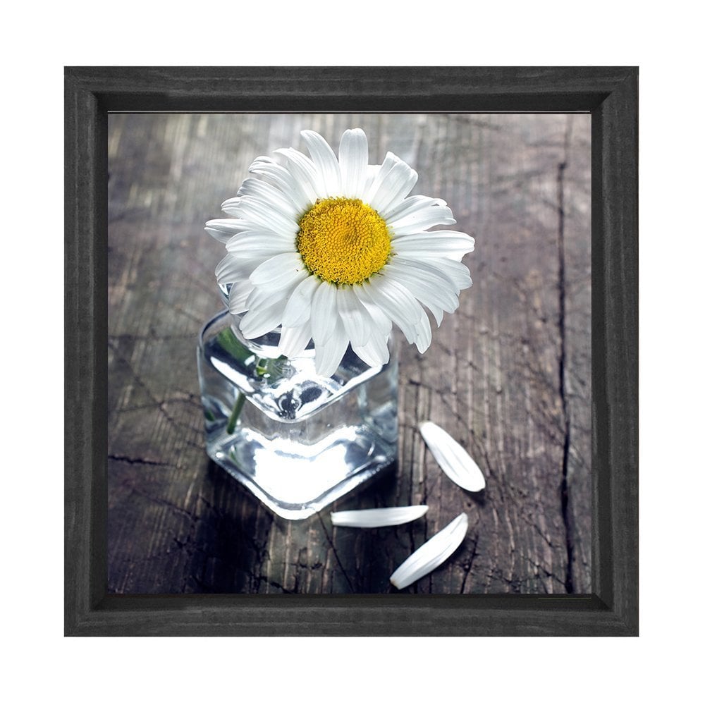 Papatya Tablosu Siyah Ahşap Çerçeve - 80x80