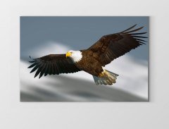 Kartal Tablosu Çerçevesiz - 70x100