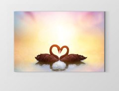 Kuğular Tablosu Çerçevesiz - 100x150