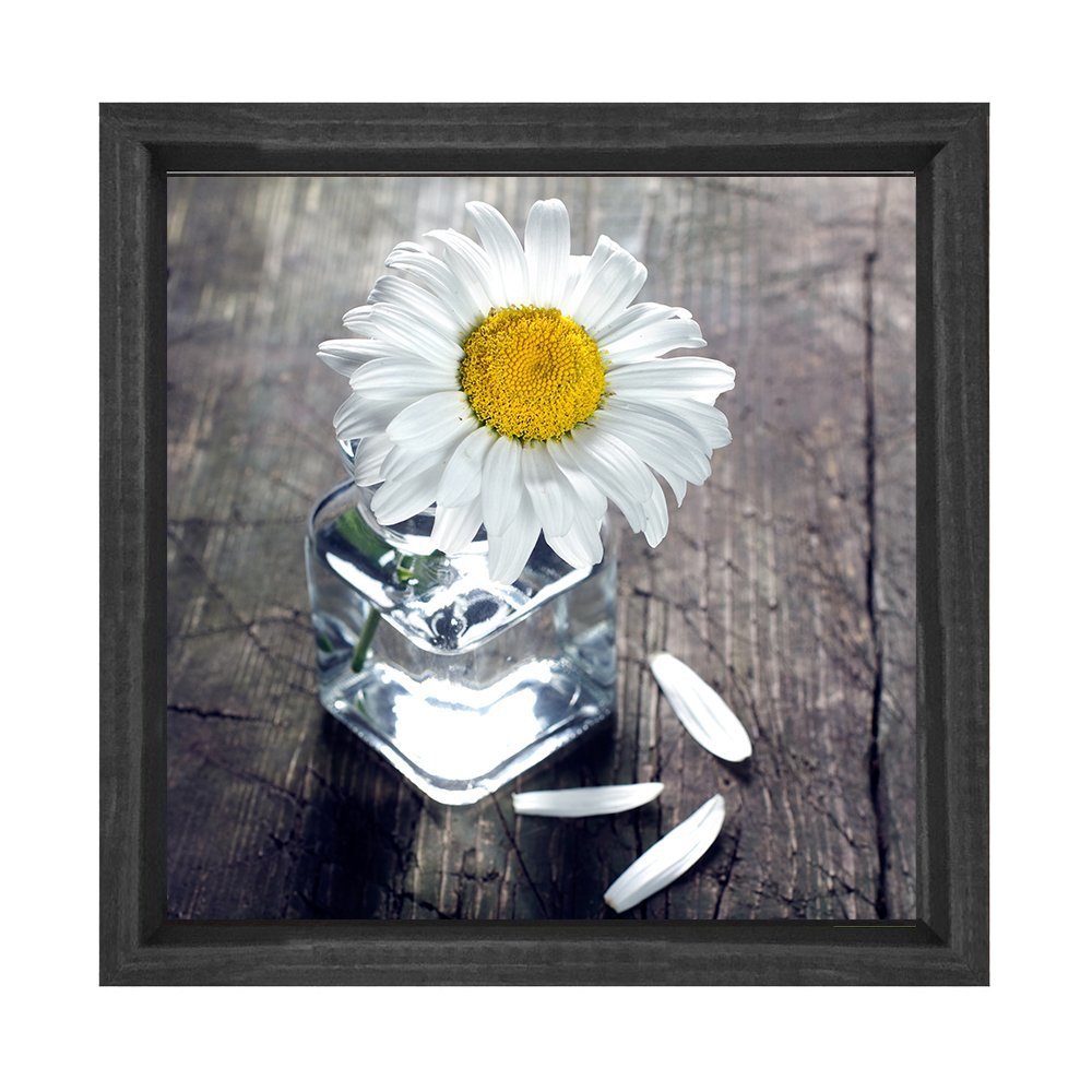 Papatya Tablosu Siyah Ahşap Çerçeve - 100x100