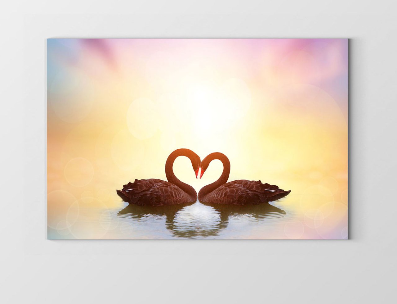 Kuğular Tablosu Çerçevesiz - 45x30