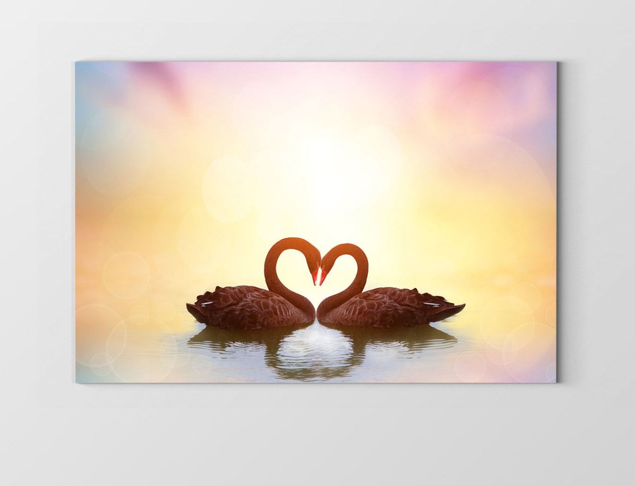 Kuğular Tablosu Çerçevesiz - 50x90
