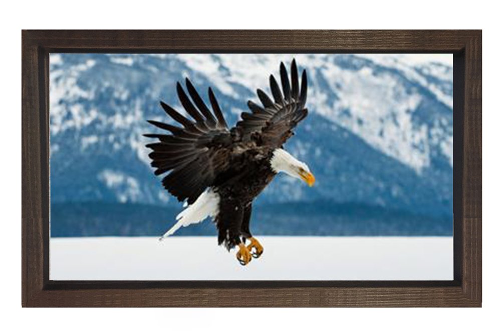 Kartal Tablosu Kahverengi Ahşap Çerçeve - 70x100