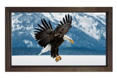 Kartal Tablosu Kahverengi Ahşap Çerçeve - 70x100
