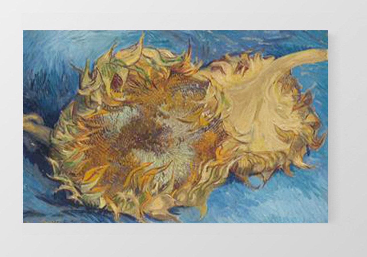 Vincent Van Gogh Tablosu Çerçevesiz - 40x60