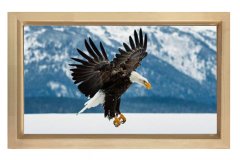 Kartal Tablosu Naturel Ahşap Çerçeve - 50x90