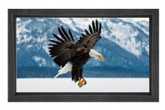 Kartal Tablosu Siyah Ahşap Çerçeve - 100x150