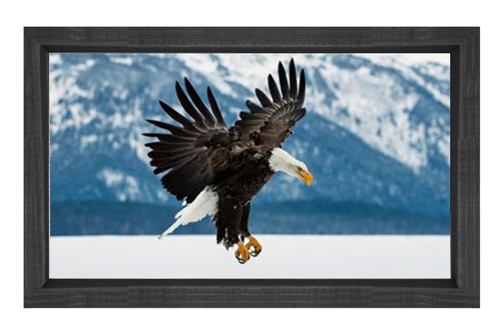 Kartal Tablosu Siyah Ahşap Çerçeve - 45x30
