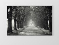 Ağaçlı Yol Siyah beyaz Tablosu Çerçevesiz - 50x90