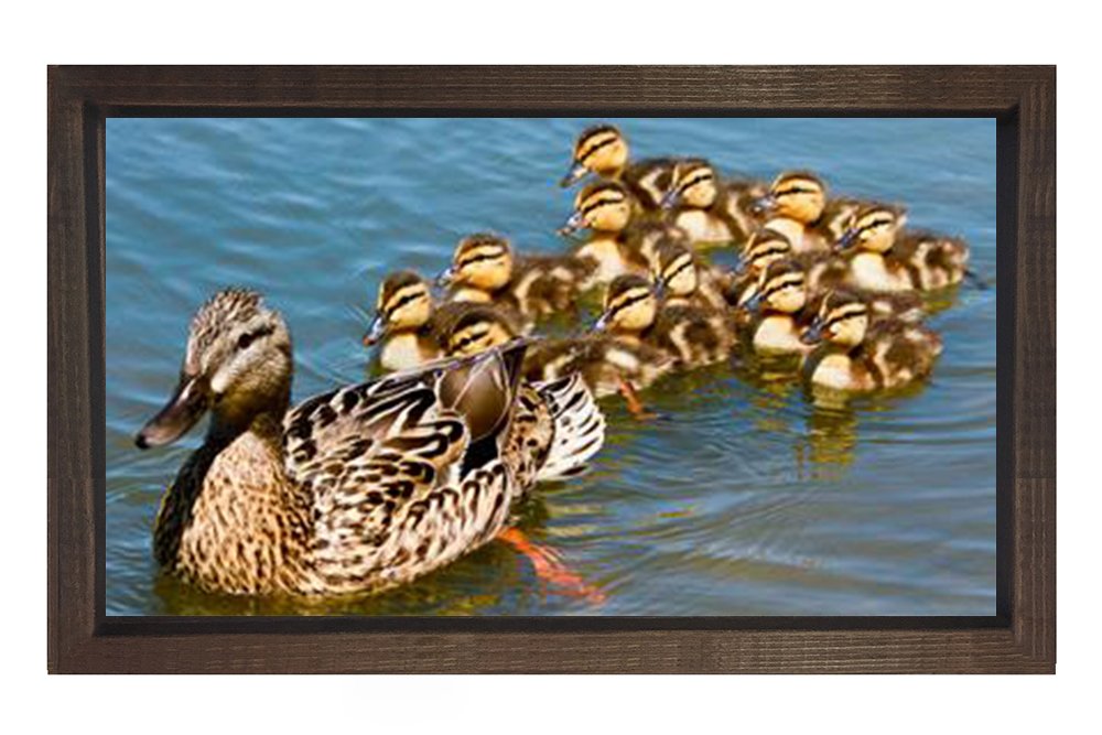 Ördekler Tablosu Kahverengi Ahşap Çerçeve - 45x30